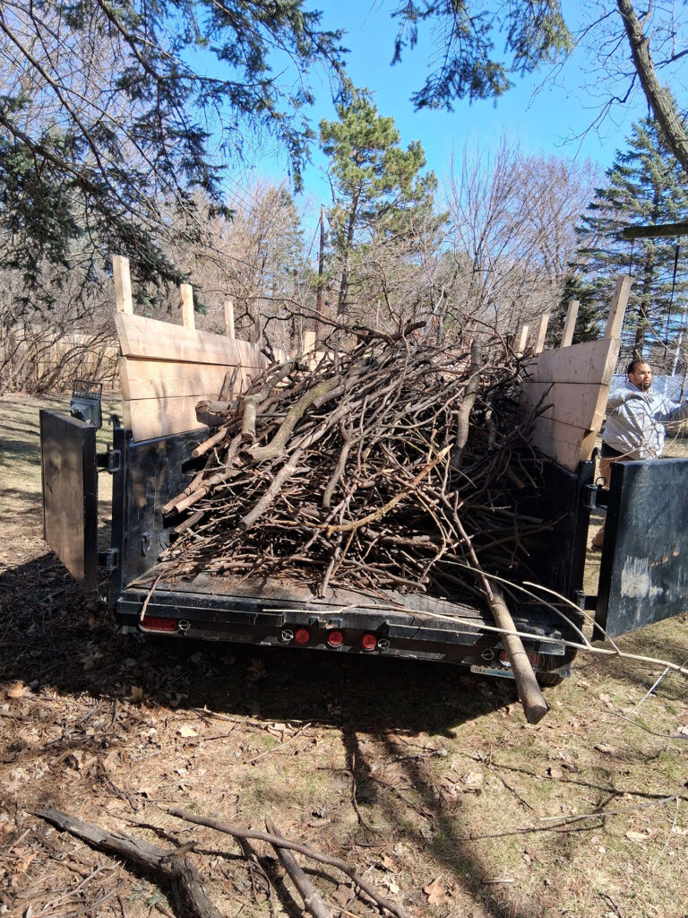 Why Your Landscaping Project Needs a Heavy-Duty Partner